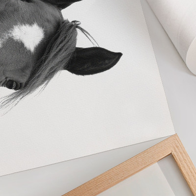 Poster pentru perete Fotografie alb-negru a eleganței unui cal