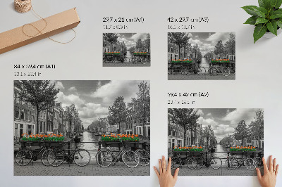 Poster O priveliște fermecătoare asupra canalului, bicicletelor, lalelelor, negrului și portocaliului