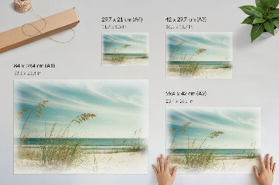 Poster pentru perete Plajă iarbă ocean cer pace