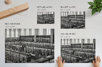 Poster Bibliotecă clasică cu rafturi din lemn
