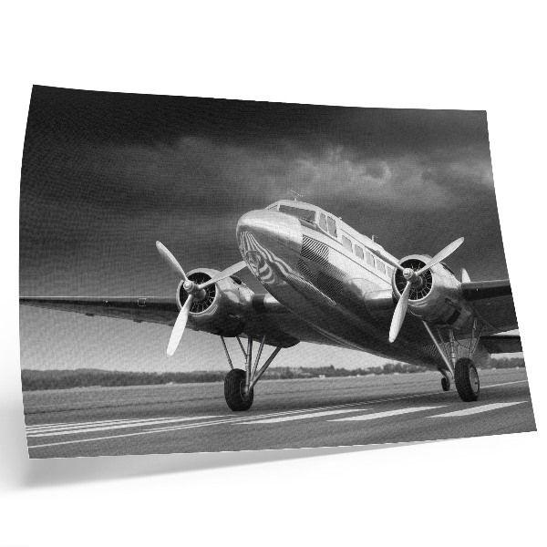 Poster Avion vechi în culori monocrome