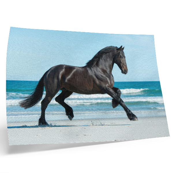 Poster pentru perete Cal galopând pe coastă, cer albastru