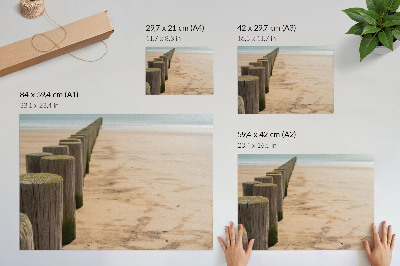 Poster Mize de lemn plajă mare pace natură