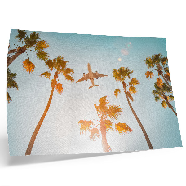 Poster pentru perete Avion palmieri cer albastru climat tropical