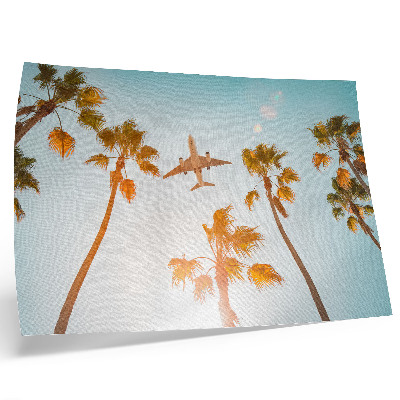Poster pentru perete Avion palmieri cer albastru climat tropical