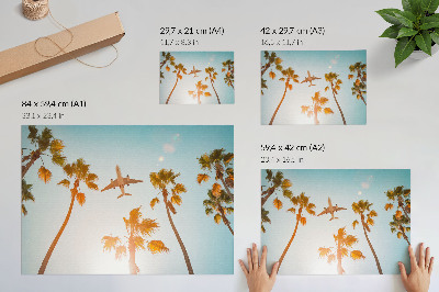 Poster pentru perete Avion palmieri cer albastru climat tropical