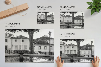 Poster retro Fântână alb-negru clădiri clasice castel