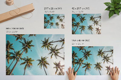 Poster pentru perete Palmieri pe fundal albastru, atmosfera liniștită a naturii