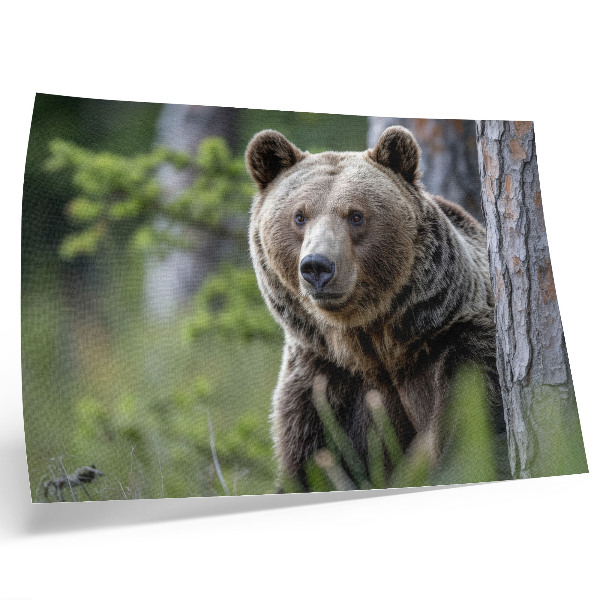 Poster retro Un urs într-o pădure plină de farmec natural