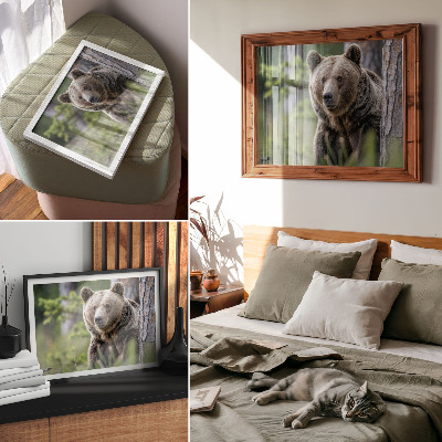 Poster retro Un urs într-o pădure plină de farmec natural