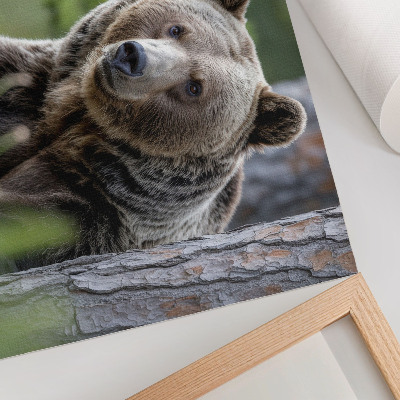 Poster retro Un urs într-o pădure plină de farmec natural