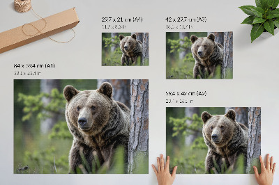Poster retro Un urs într-o pădure plină de farmec natural