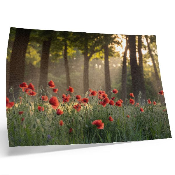 Poster retro Maci roșii, raze de soare verzi din pădure