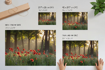 Poster retro Maci roșii, raze de soare verzi din pădure