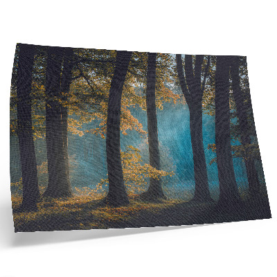 Poster pentru perete Pădure liniștită, soare de dimineață, frunze colorate