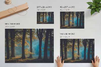 Poster pentru perete Pădure liniștită, soare de dimineață, frunze colorate