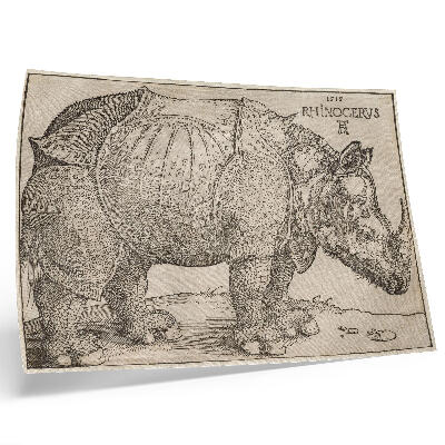 Poster pentru perete Rinocer (1515) de Albrecht Dürer