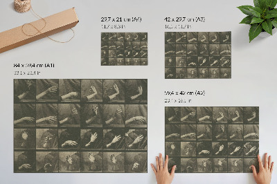 Poster Locomoția animală, Planșa 535 (1887) de Eadweard Muybridge
