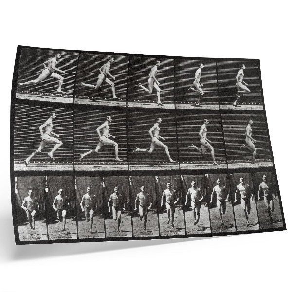 Poster retro Planșa 60 din Locomoția animală (1887) fotografiată de Eadweard Muybridge