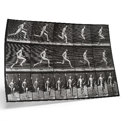 Poster retro Planșa 60 din Locomoția animală (1887) fotografiată de Eadweard Muybridge