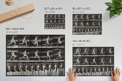Poster retro Planșa 60 din Locomoția animală (1887) fotografiată de Eadweard Muybridge