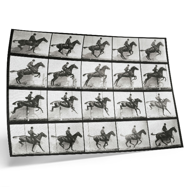 Poster Planșa 640 din Locomoția Animală (1887), călărie fotografiată de Eadweard Muybridge