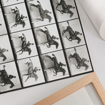 Poster Planșa 640 din Locomoția Animală (1887), călărie fotografiată de Eadweard Muybridge
