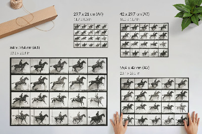 Poster Planșa 640 din Locomoția Animală (1887), călărie fotografiată de Eadweard Muybridge