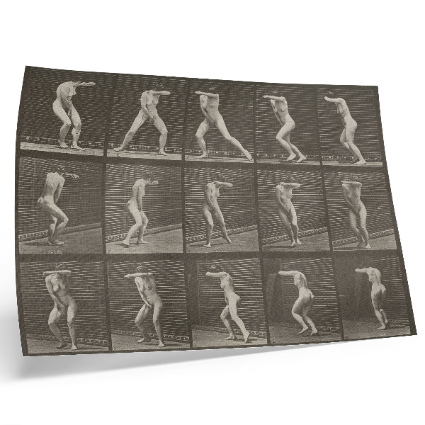Poster pentru perete Plăcuța numărul 73. Întorcându-se prin surprindere și fugind (1887) de Eadweard Muybridge