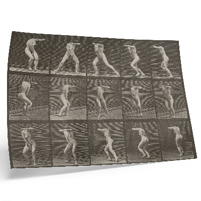 Poster pentru perete Plăcuța numărul 73. Întorcându-se prin surprindere și fugind (1887) de Eadweard Muybridge