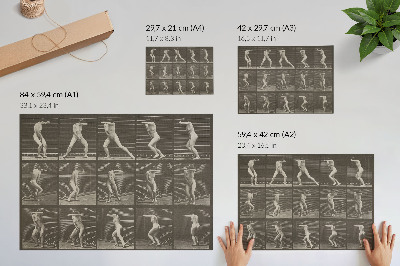 Poster pentru perete Plăcuța numărul 73. Întorcându-se prin surprindere și fugind (1887) de Eadweard Muybridge