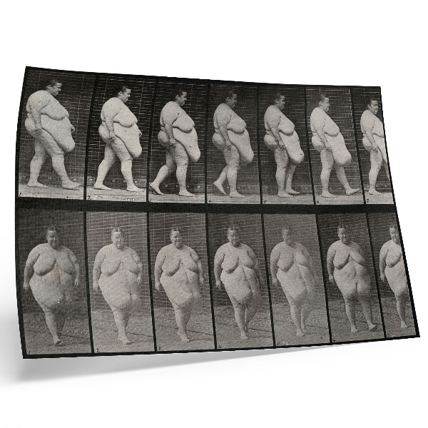 Poster pentru perete Femeie obeză mergând. Fototip după Eadweard Muybridge, 1887