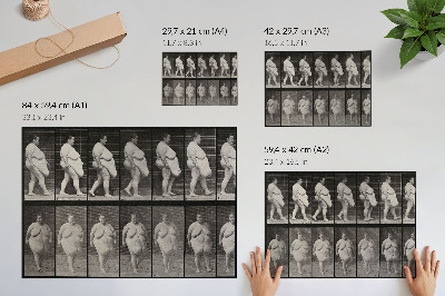 Poster pentru perete Femeie obeză mergând. Fototip după Eadweard Muybridge, 1887