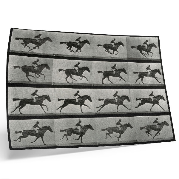 Poster retro Cal și călăreț în galop. Fototip după Eadweard Muybridge, 1887
