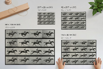 Poster retro Cal și călăreț în galop. Fototip după Eadweard Muybridge, 1887
