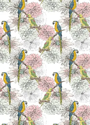 Stor geam interior cu papagali pe o creangă
