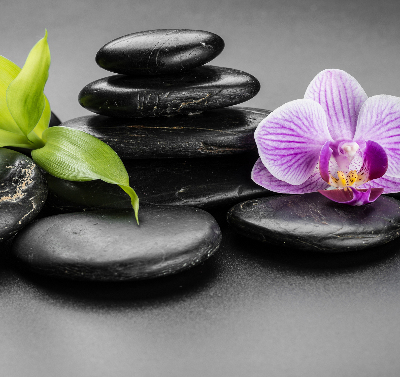 Stor pentru geam cu model Orhidee pe pietre