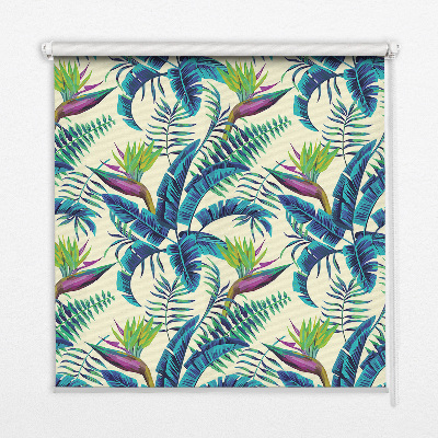 Stor geam interior pentru plante tropicale