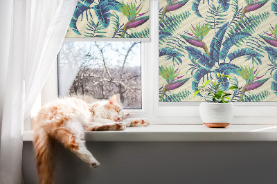 Stor geam interior pentru plante tropicale