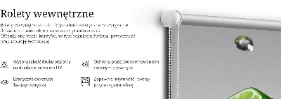 Jaluzele tip roleta în culoarea lime, pentru apă
