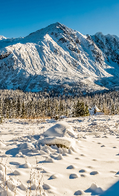 Jaluzele tip roletă munți