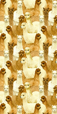 Stor pentru geam o turmă de alpaca