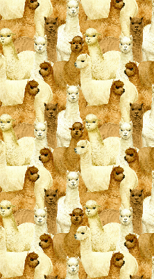 Stor pentru geam o turmă de alpaca
