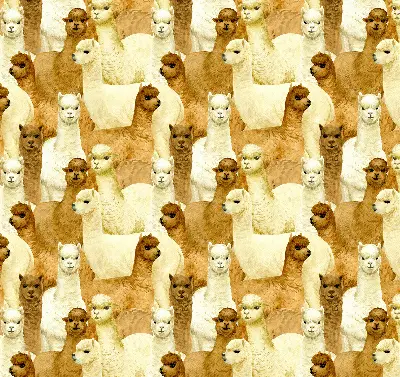 Stor pentru geam o turmă de alpaca