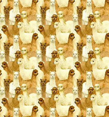 Stor pentru geam o turmă de alpaca