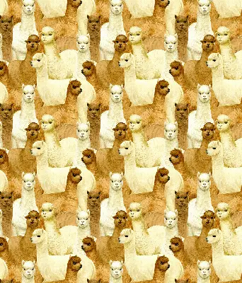 Stor pentru geam o turmă de alpaca