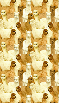 Stor pentru geam o turmă de alpaca