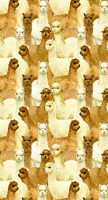Stor pentru geam o turmă de alpaca