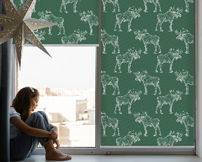 Jaluzele tip roleta de culoare verde