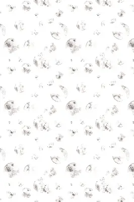 Stor geam interior Planete